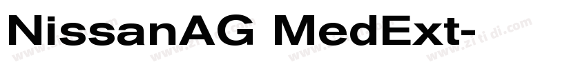 NissanAG MedExt字体转换